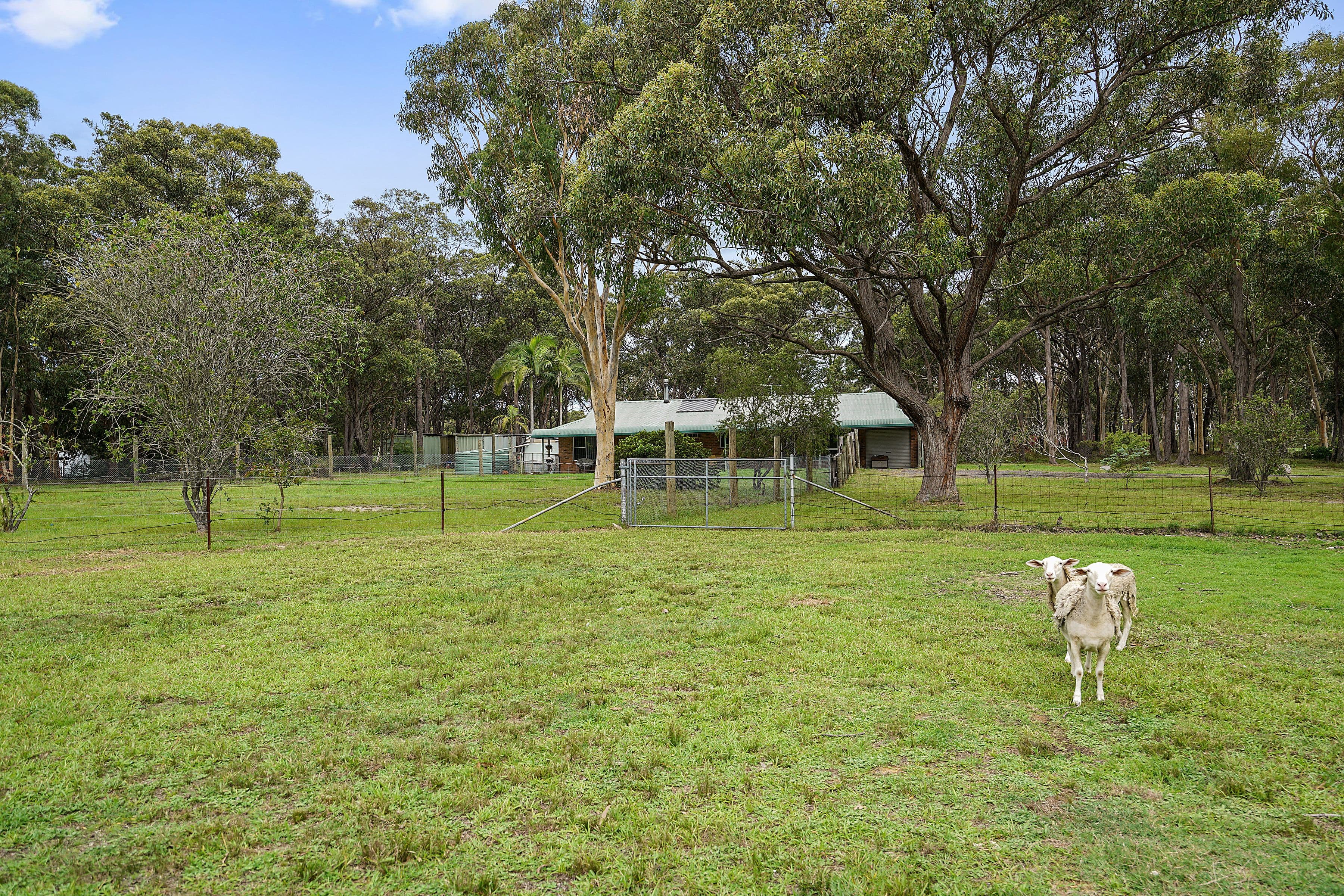 5 Tuggarah Street, Wyee NSW 2259, Wyee - Thumbnail 2