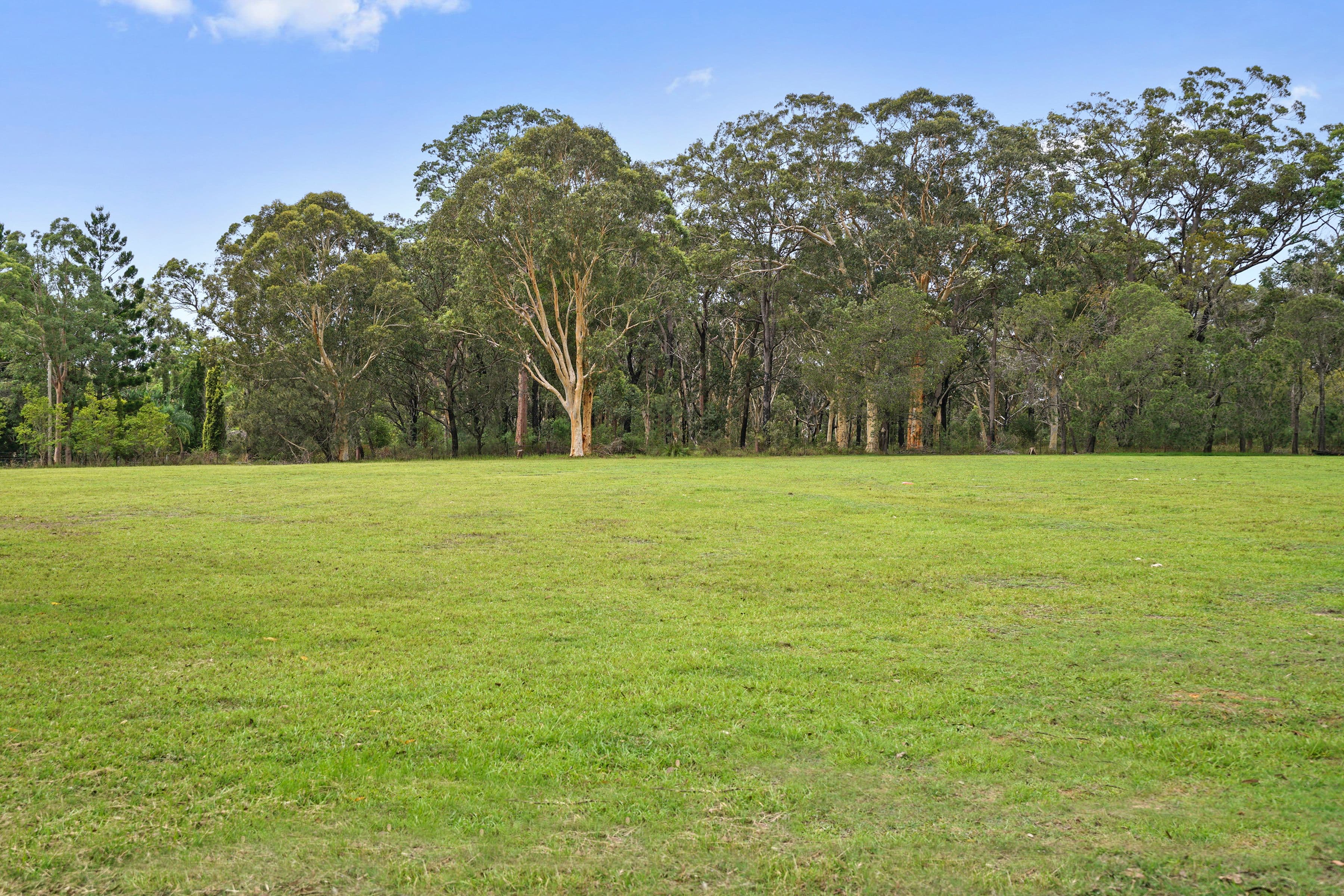 5 Tuggarah Street, Wyee NSW 2259, Wyee - Thumbnail 5