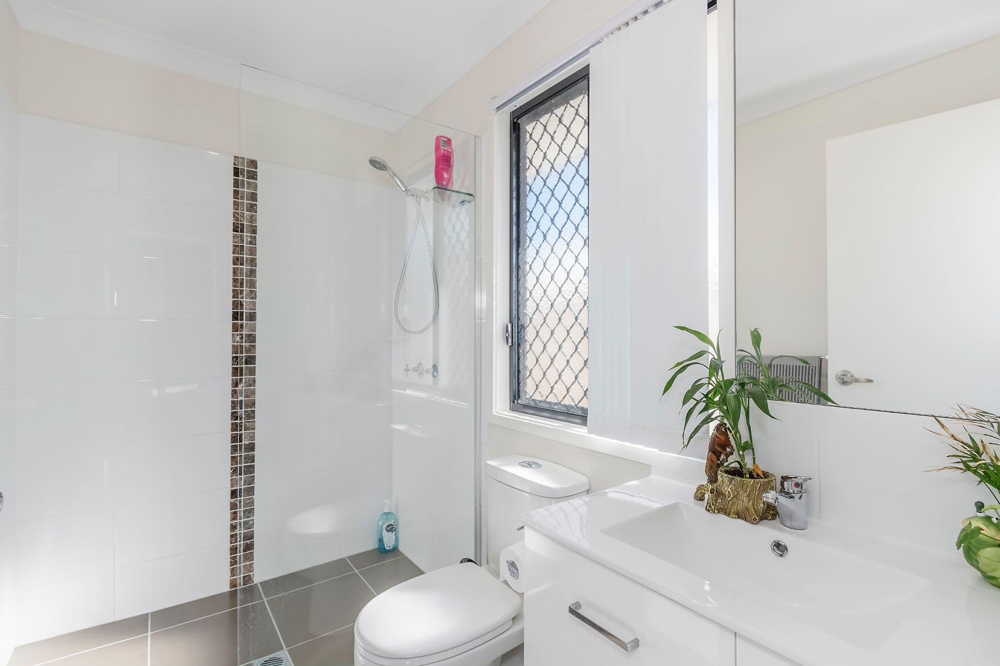 103 William Boulevard, Pimpama QLD 4209, Pimpama - Thumbnail 5
