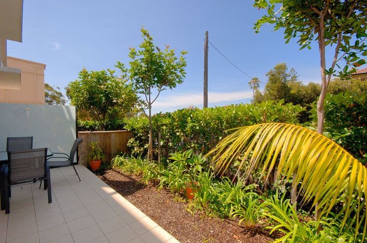 55-57  Carr Street, COOGEE NSW 2034, Coogee - Thumbnail 5