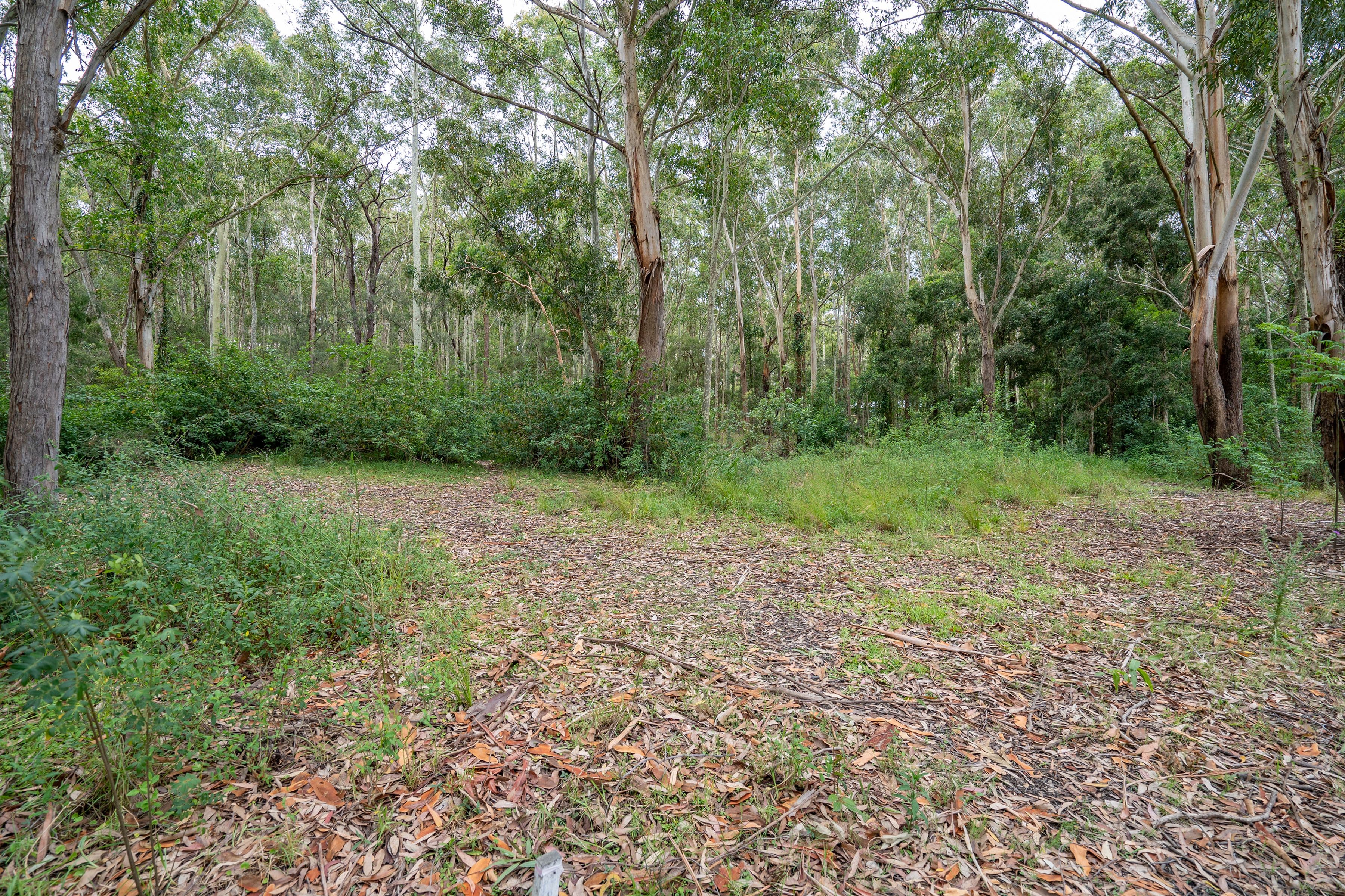 35 Dora Street, Cooranbong NSW 2265, Cooranbong - Thumbnail 2