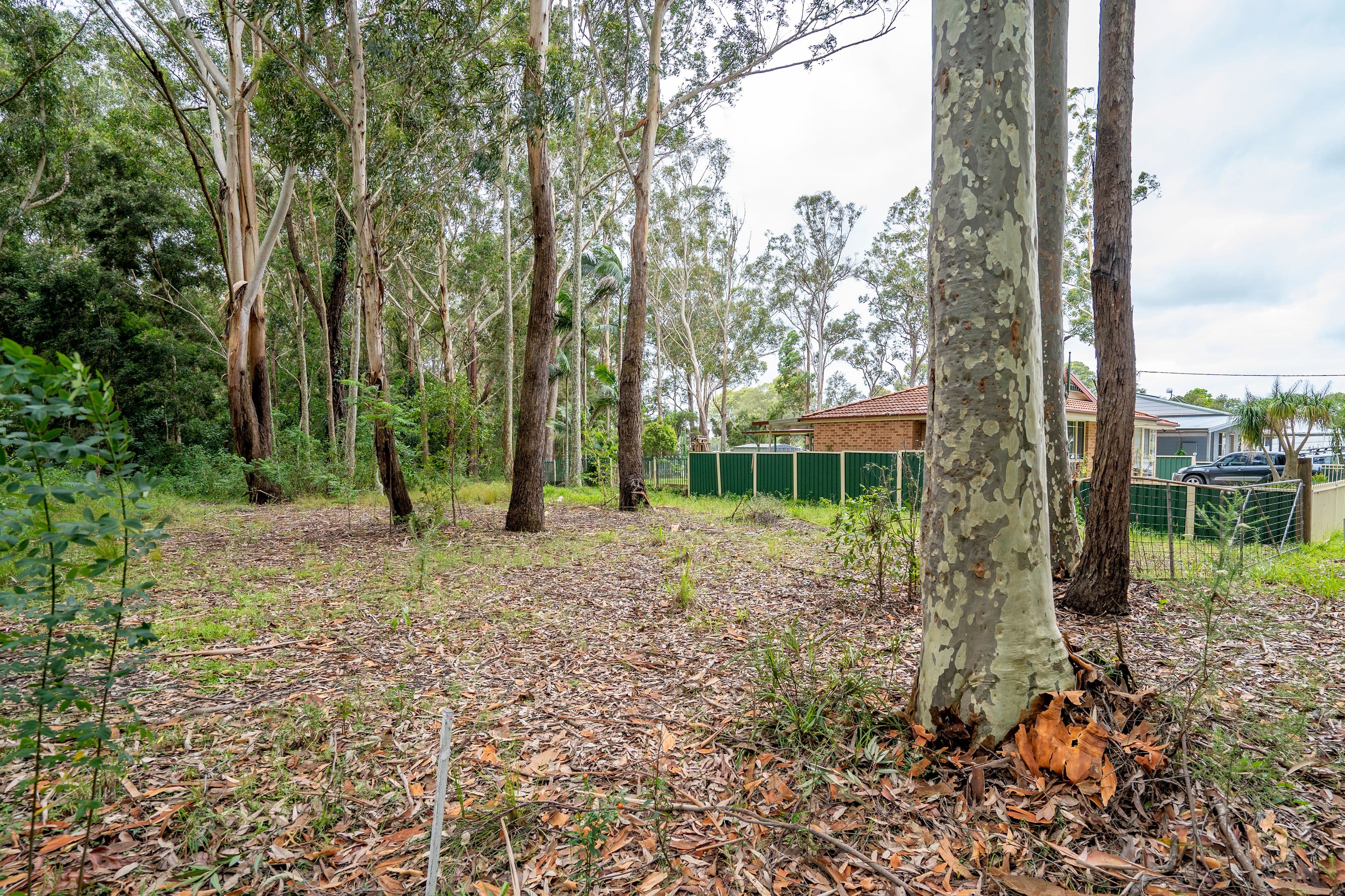 35 Dora Street, Cooranbong NSW 2265, Cooranbong - Thumbnail 3