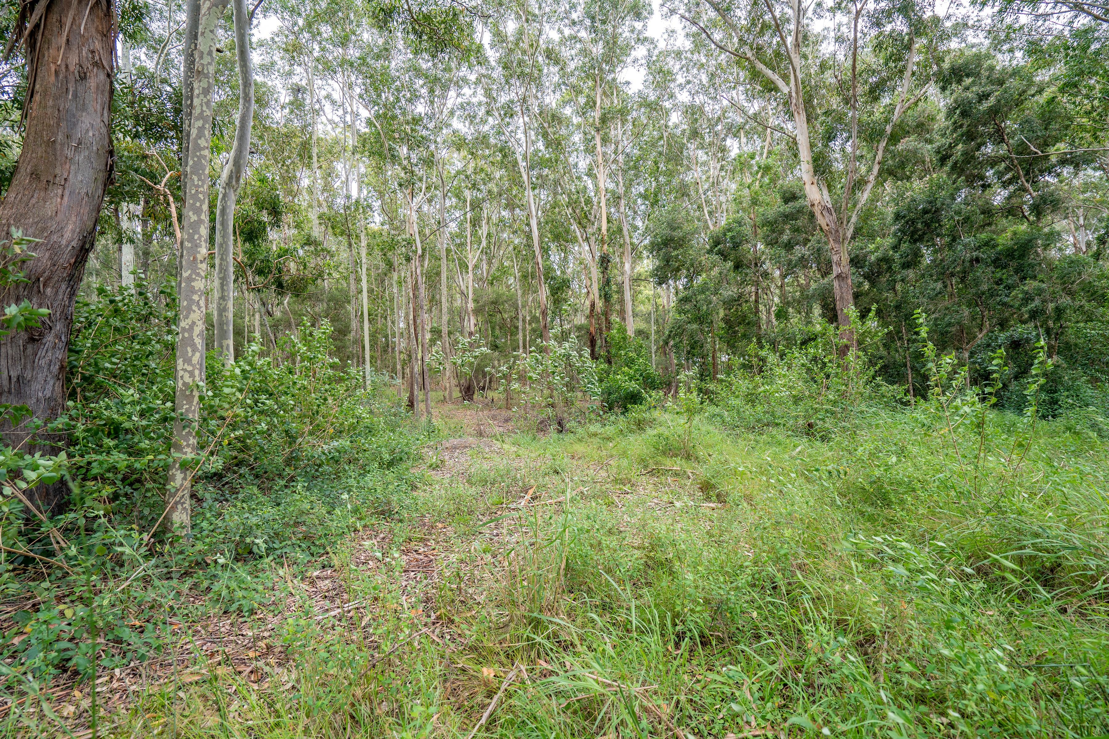 35 Dora Street, Cooranbong NSW 2265, Cooranbong - Thumbnail 4
