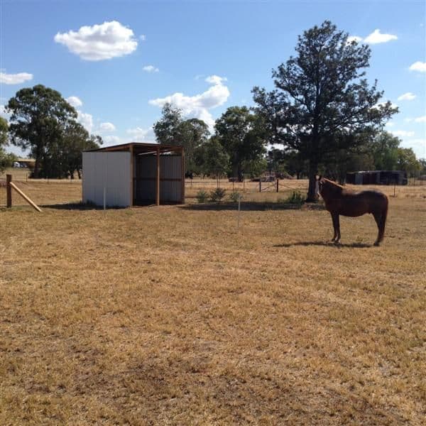 19 Holland Place, Gilgandra NSW 2827, Gilgandra - Thumbnail 2