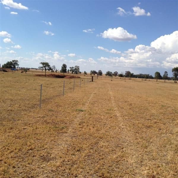 19 Holland Place, Gilgandra NSW 2827, Gilgandra - Thumbnail 7