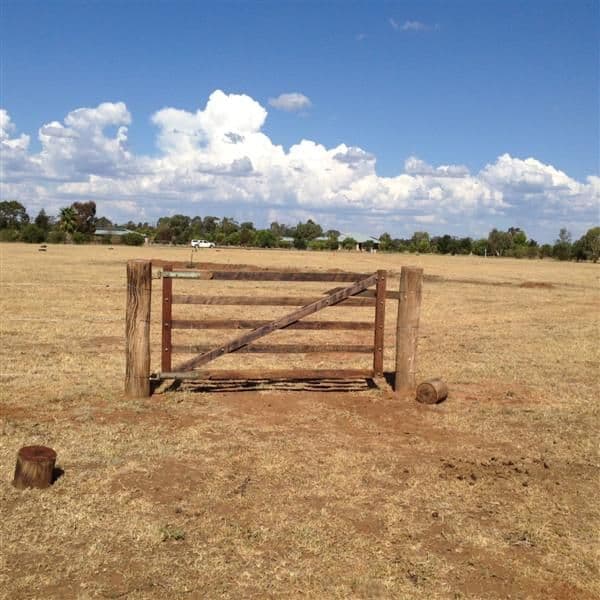19 Holland Place, Gilgandra NSW 2827, Gilgandra - Thumbnail 8