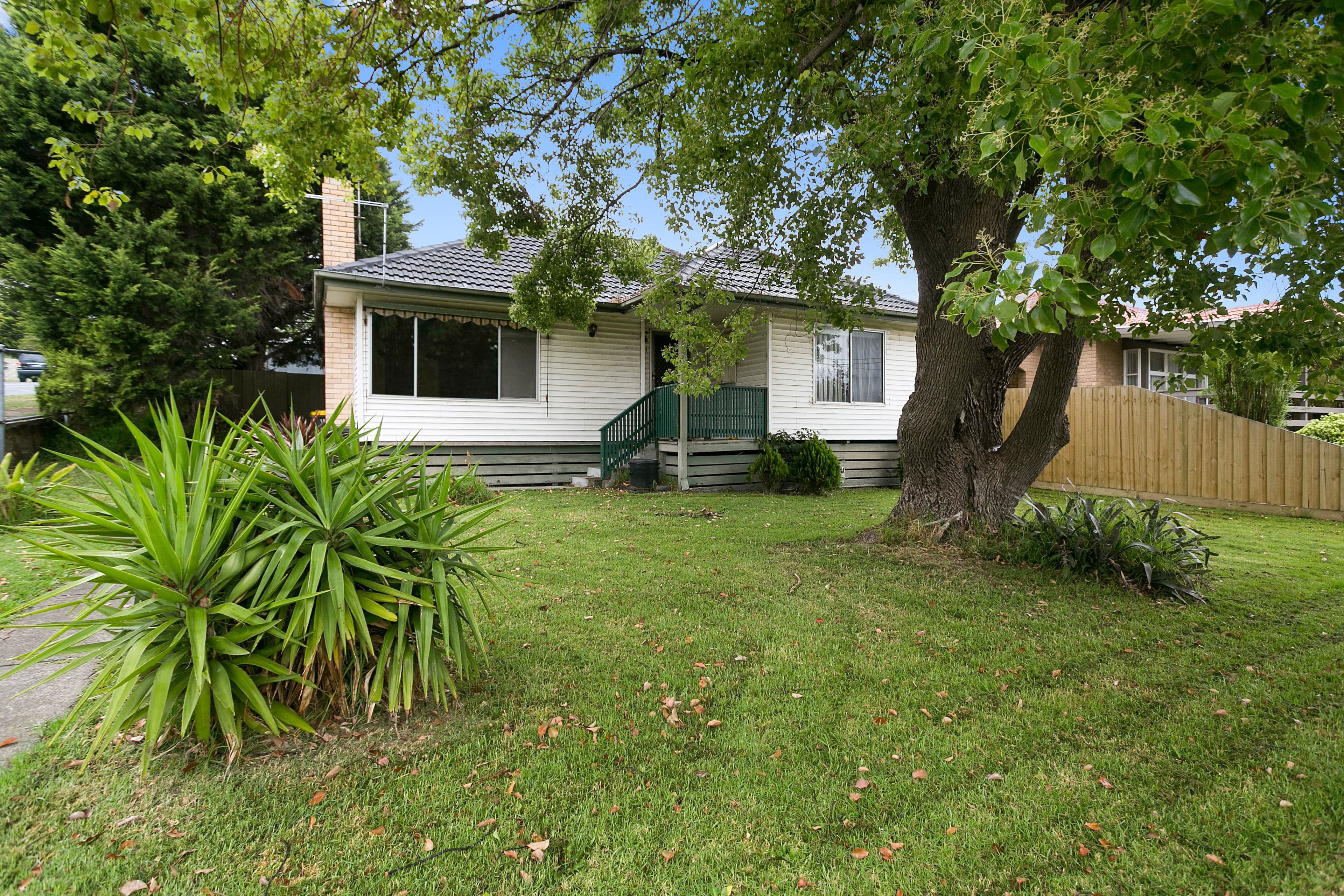 10 Alfred Place, Frankston VIC 3199, Frankston - Thumbnail 2