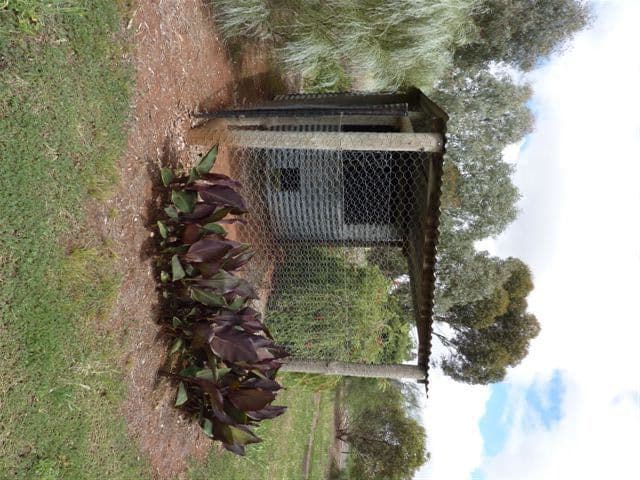 Lot 1 West Street, AUBURN SA 5451, Auburn - Thumbnail 7