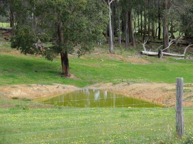 Lot 20 McKittrick Road, NANNUP WA 6275, Nannup - Thumbnail 2
