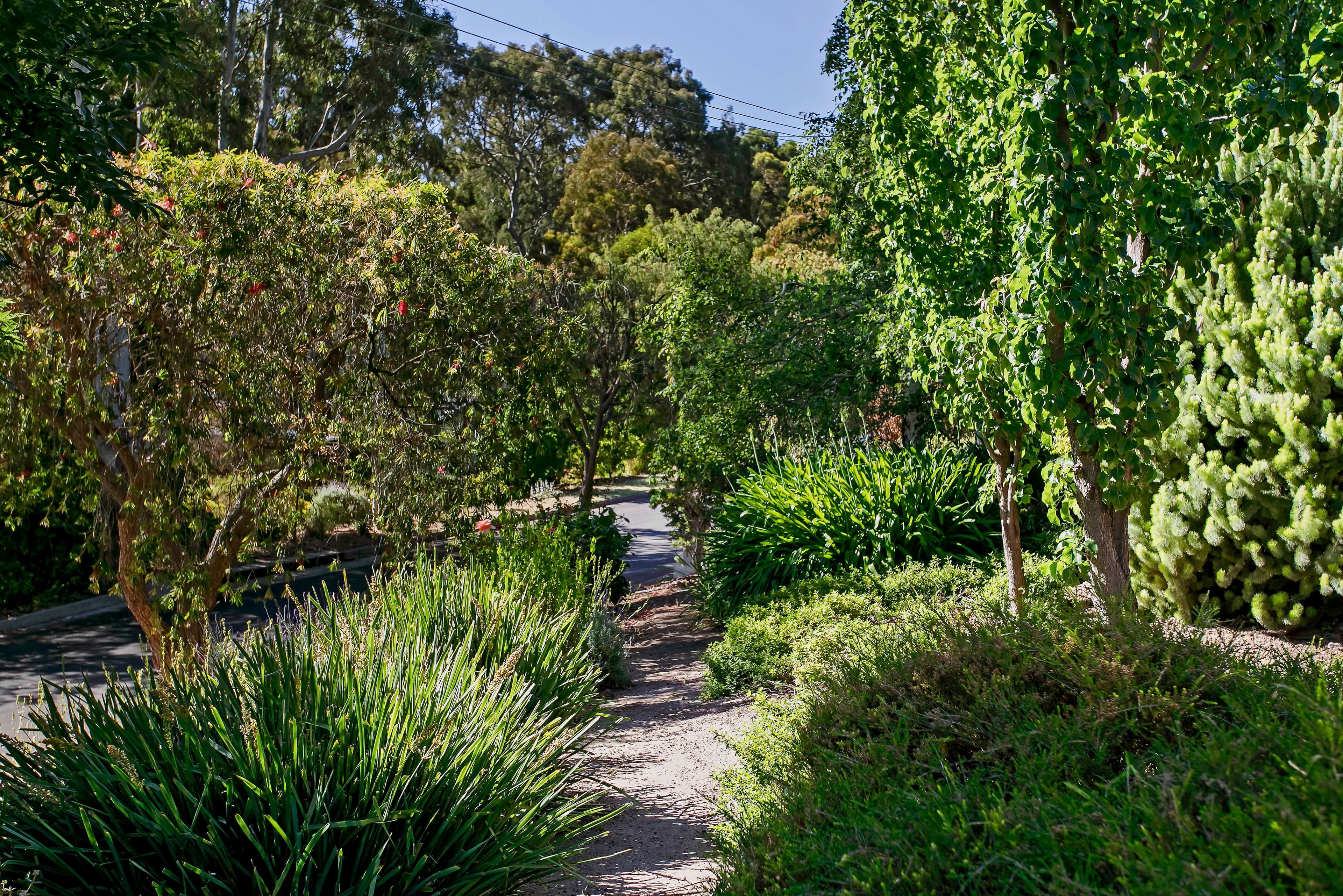 77 Thorngate Drive, Belair SA 5052, Belair - Thumbnail 3