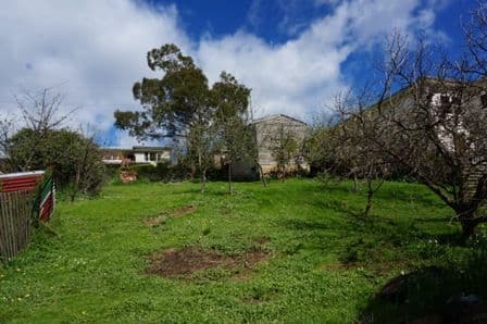WEST LAUNCESTON TAS 7250, West Launceston - Image 1
