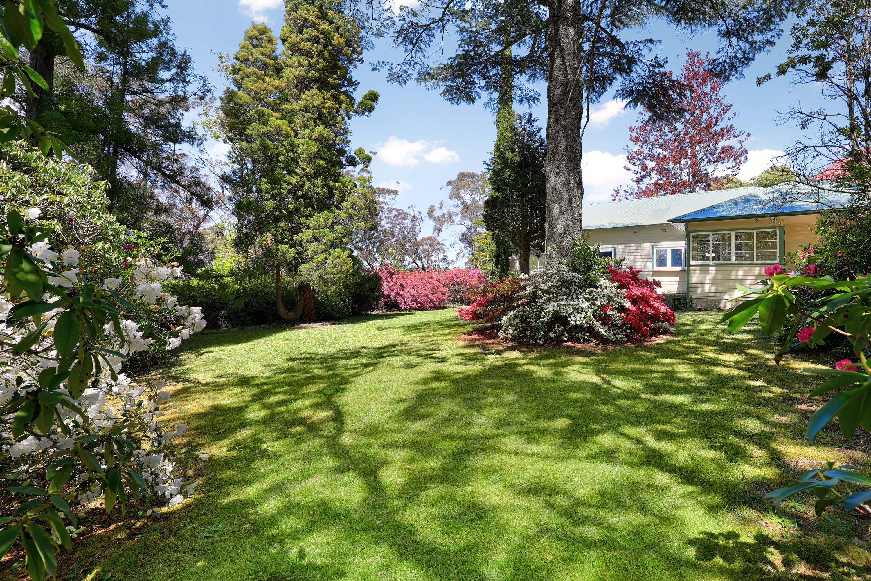 6-8 Young Lane, Blackheath NSW 2785, Blackheath - Thumbnail 2