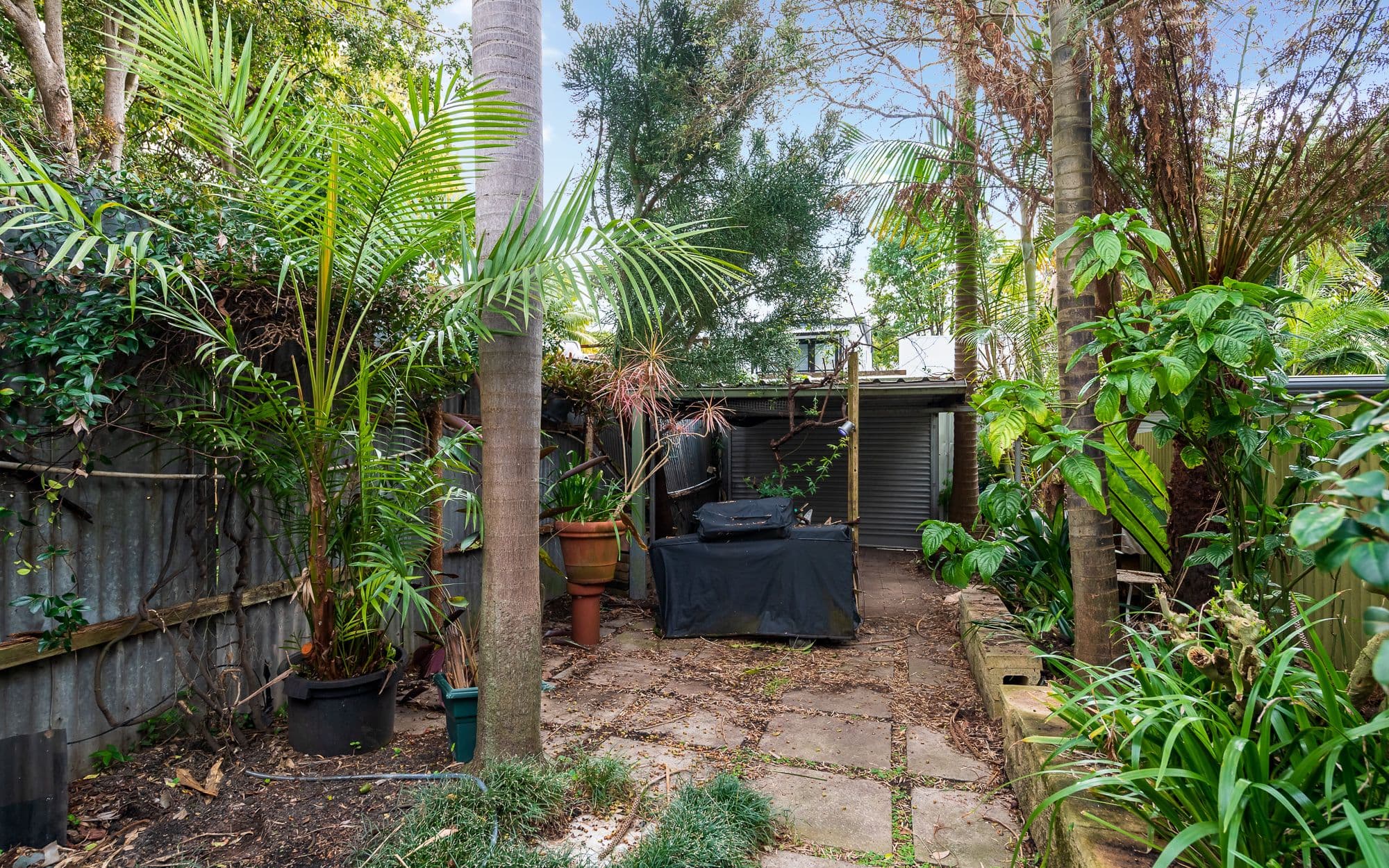 4 Edward Street, Darlington NSW 2008, Darlington - Thumbnail 7