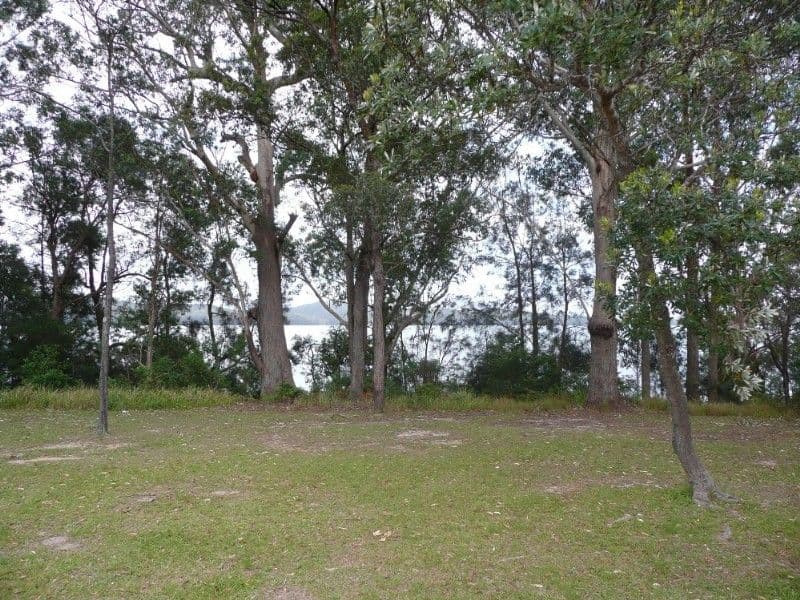 45 Sirius Drive, LAKEWOOD NSW 2443, Lakewood - Thumbnail 3