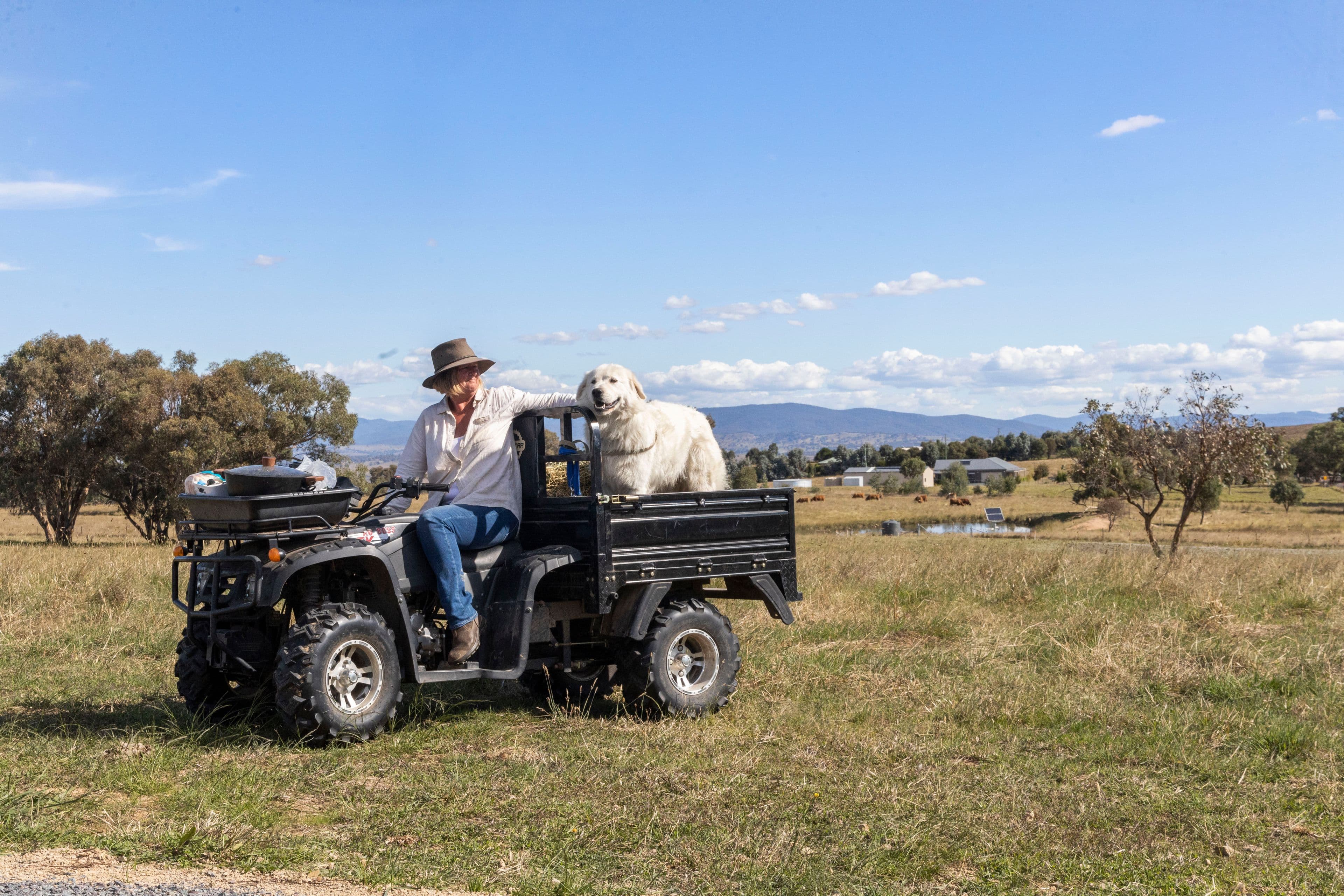 "Barrenjack Downs" 771 Good Hope Road, Yass NSW 2582, Yass - Thumbnail 3