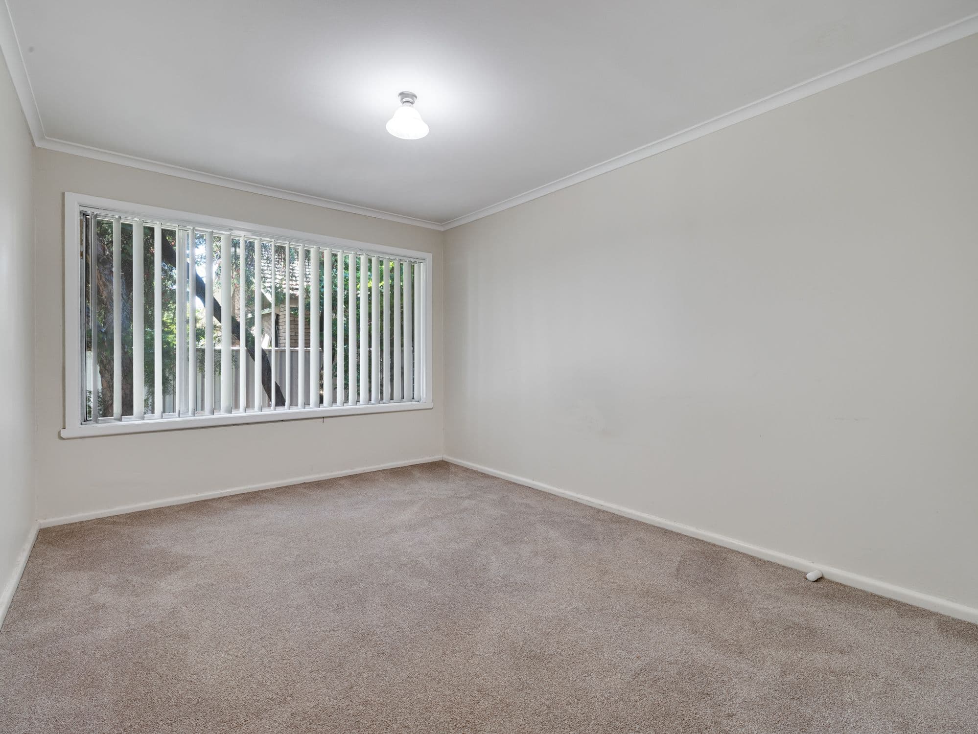 496 Nabowla Court, Lavington NSW 2641, Lavington - Thumbnail 6