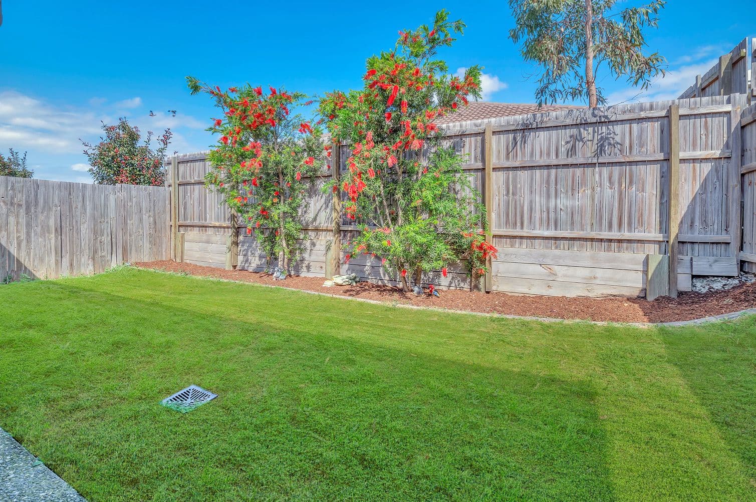 56 Augusta Boulevard, Pimpama QLD 4209, Pimpama - Thumbnail 3