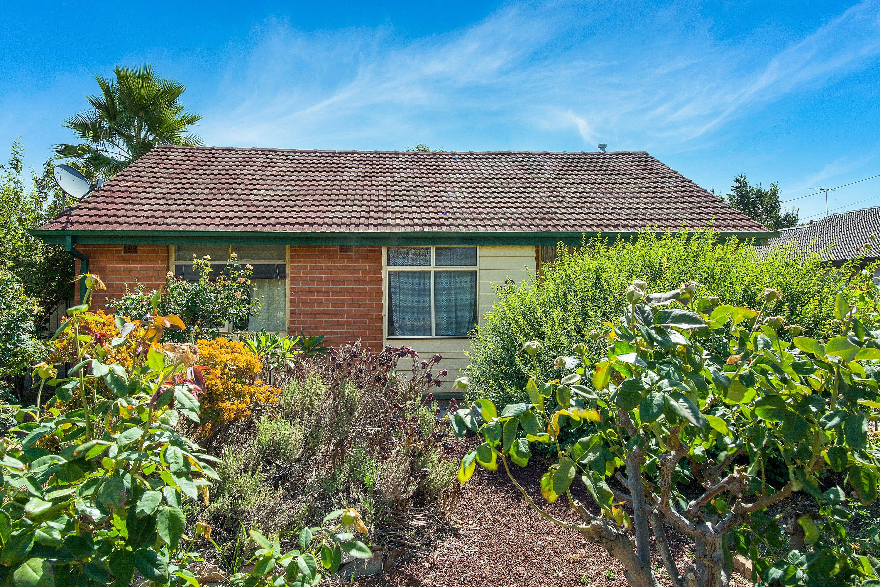 123 Peachey Road, Davoren Park SA 5113, Davoren Park - Thumbnail 5