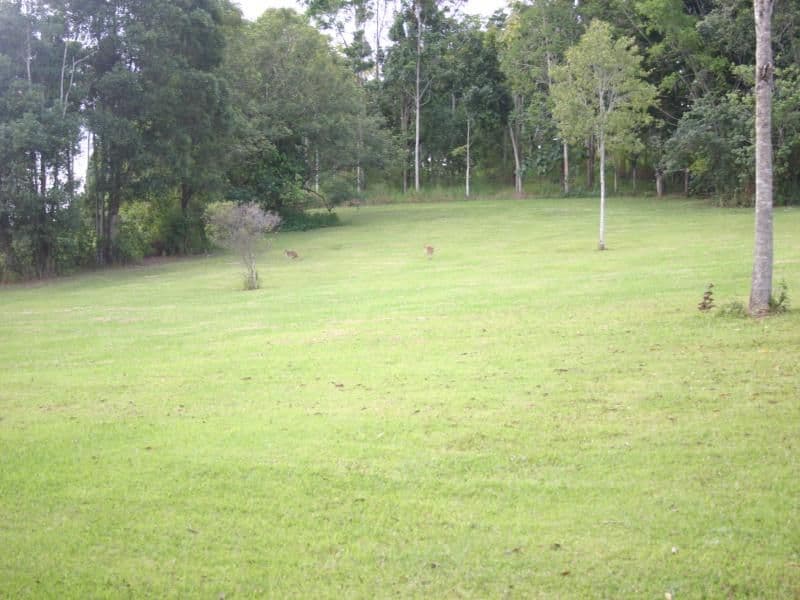JULATTEN QLD 4871, Julatten - Thumbnail 4