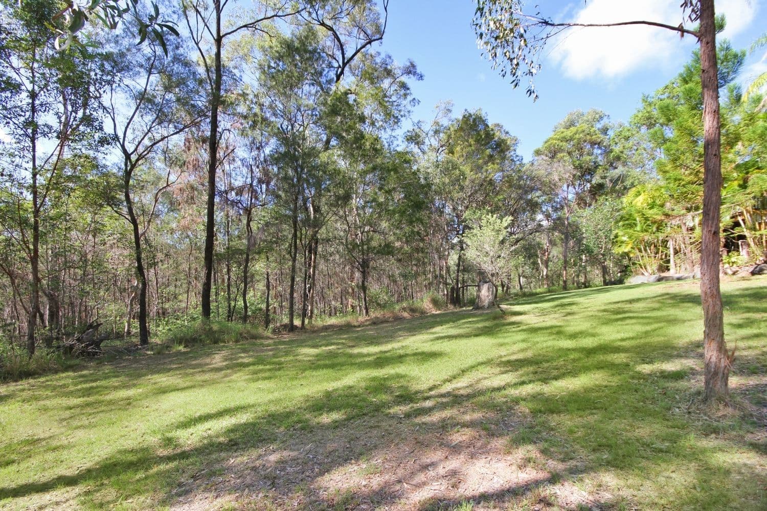 52 Uplands Court, TALLAI QLD 4213, Tallai - Thumbnail 5