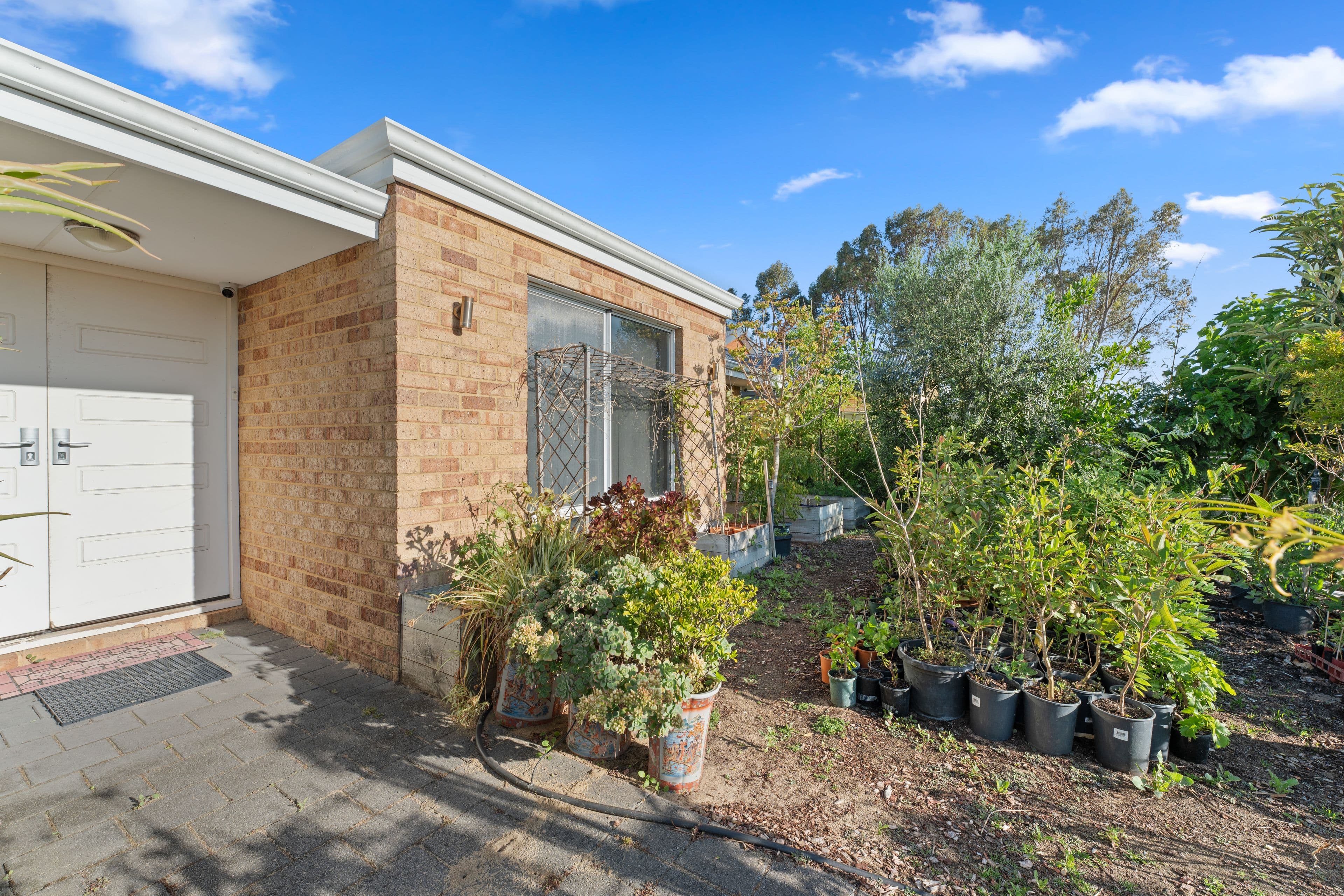 145 Arpenteur Drive, Baldivis WA 6171, Baldivis - Thumbnail 5