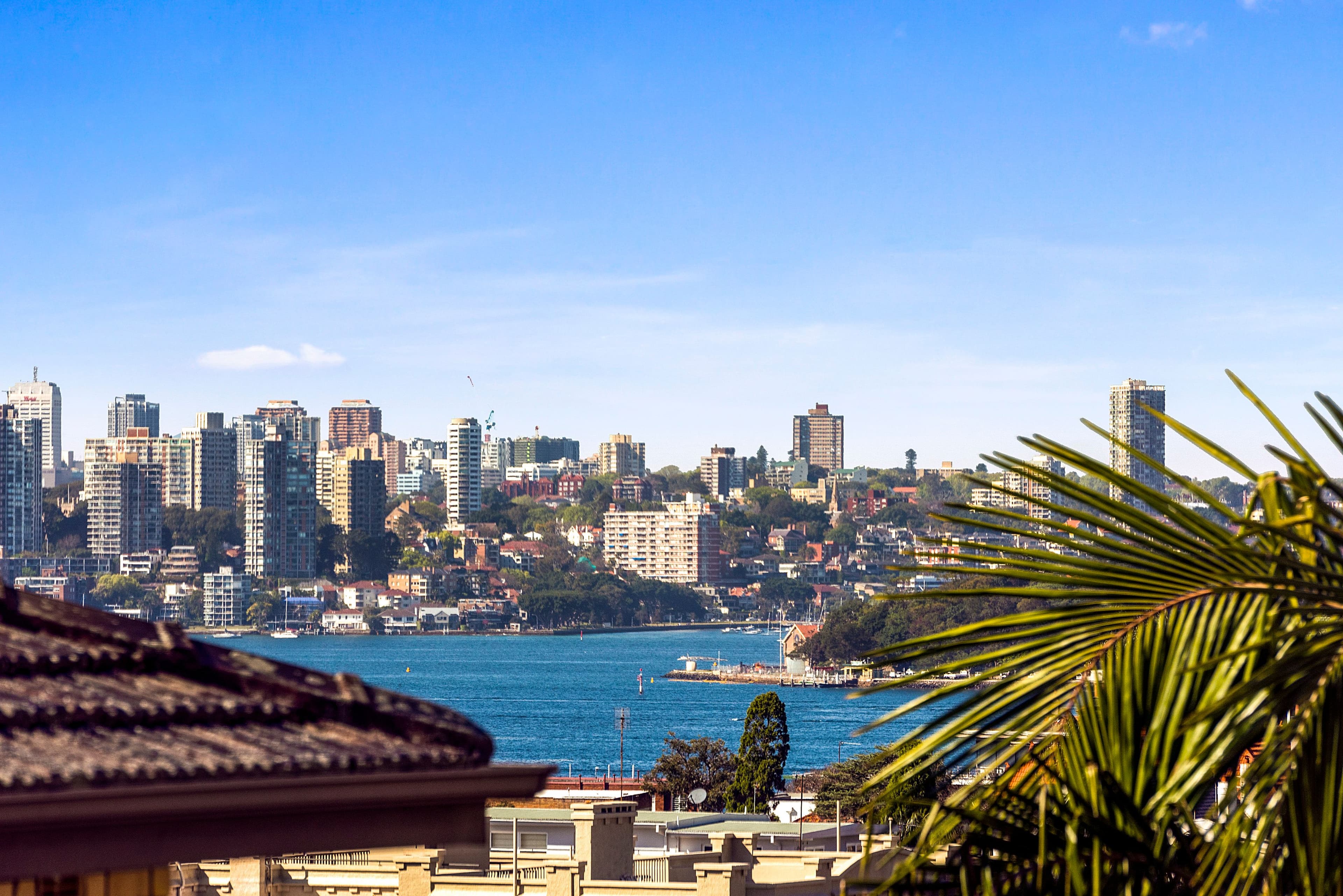 3 Billong Street, Neutral Bay NSW 2089, Neutral Bay - Thumbnail 6