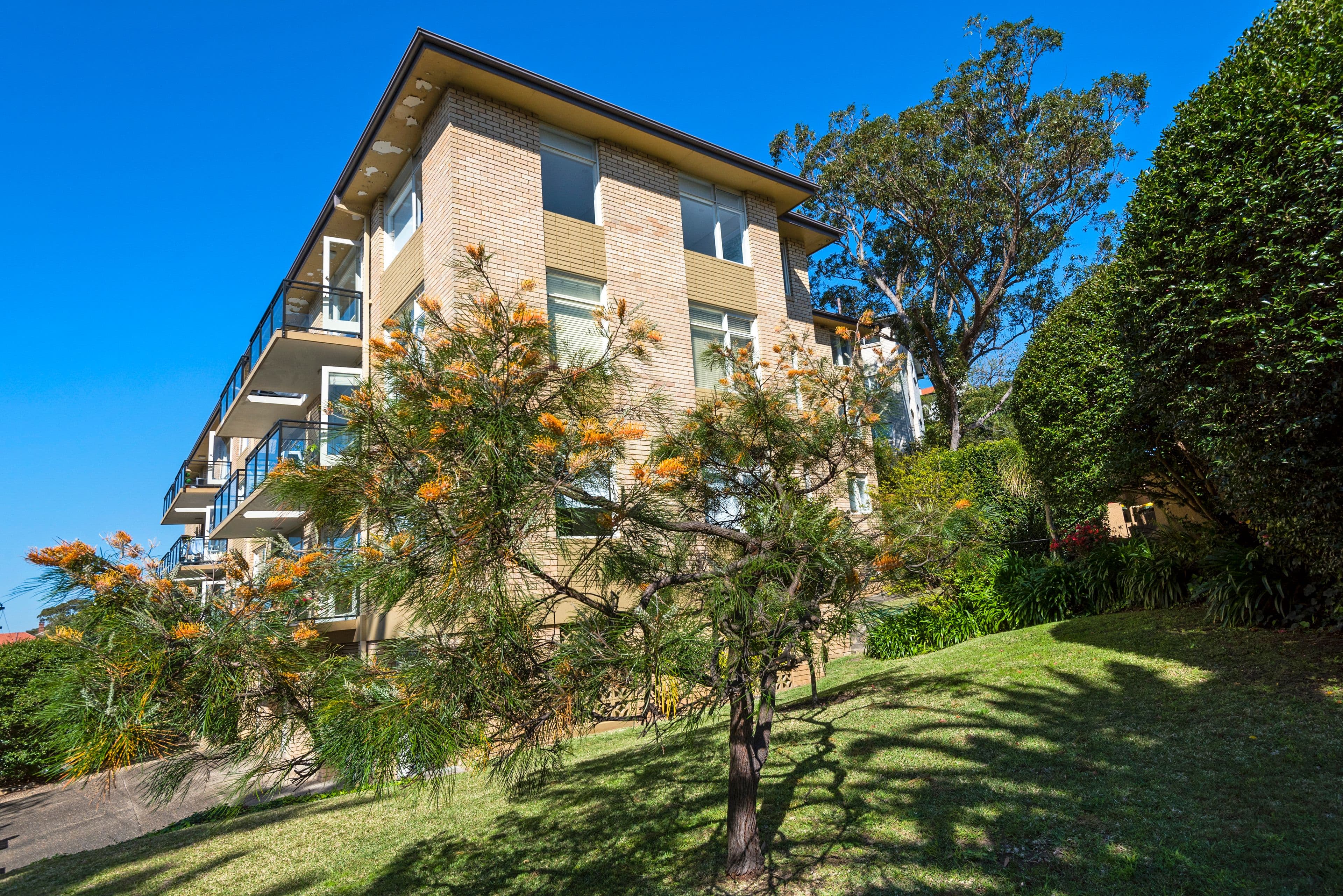 3 Billong Street, Neutral Bay NSW 2089, Neutral Bay - Thumbnail 7