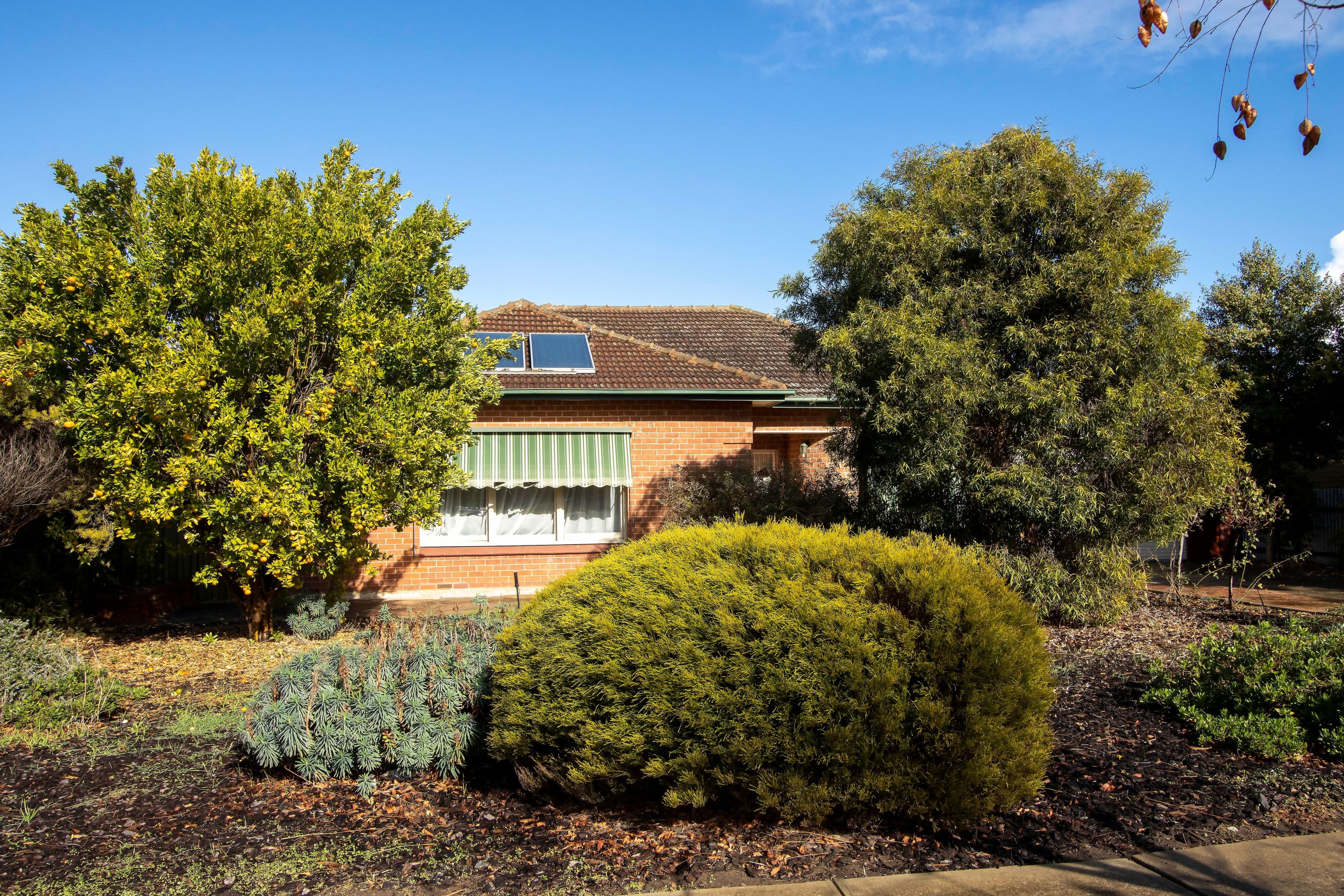 29 Gosfield Crescent, Hampstead Gardens SA 5086, Hampstead Gardens - Thumbnail 2