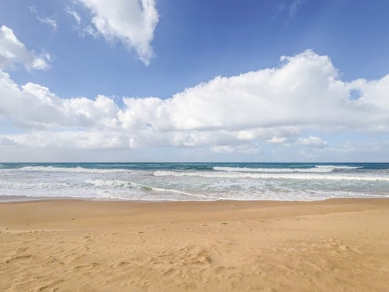 19 Ellen Avenue, Seaspray - Thumbnail 5
