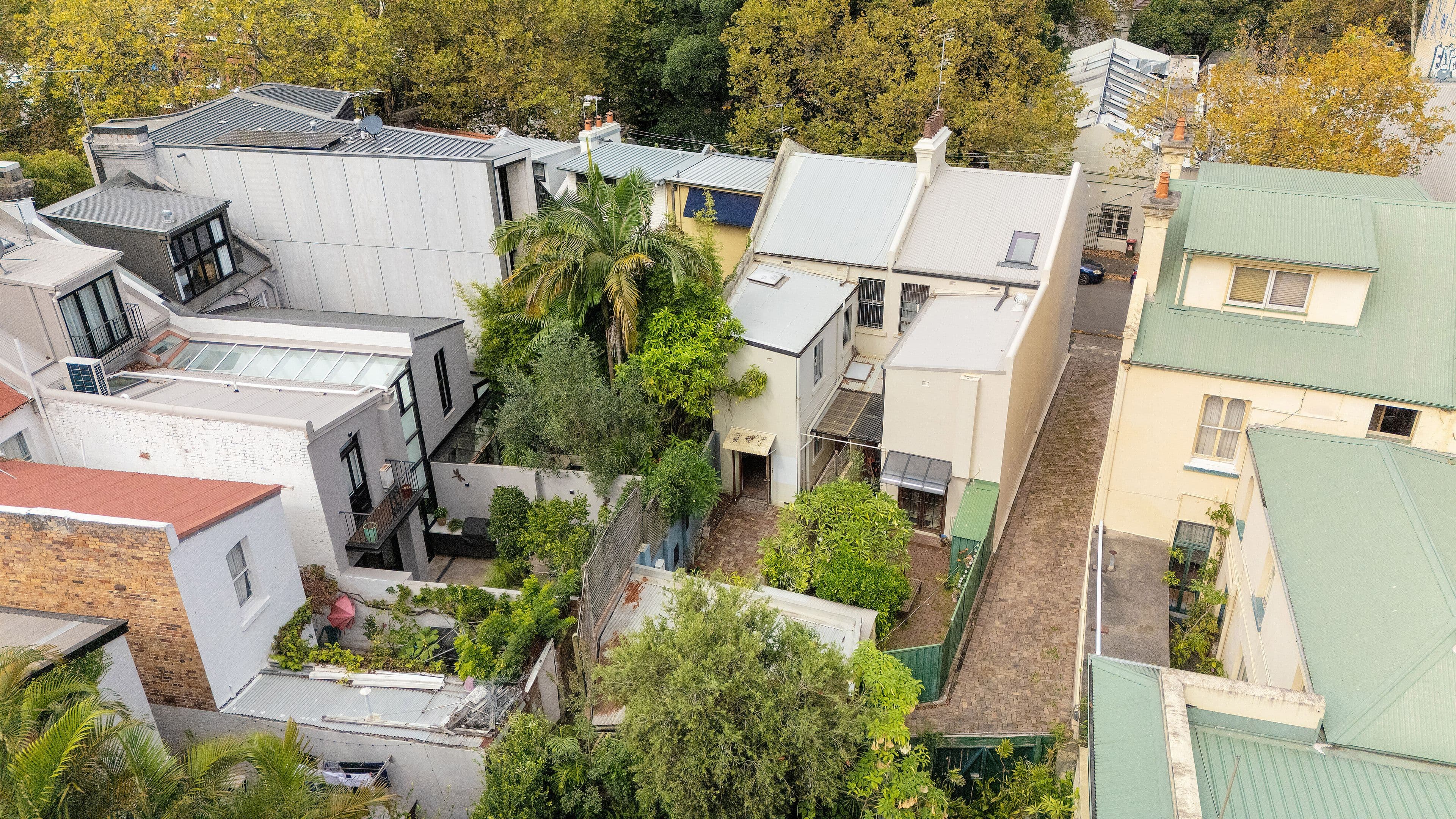 68 Fitzroy Street, Surry Hills NSW 2010, Surry Hills - Thumbnail 2