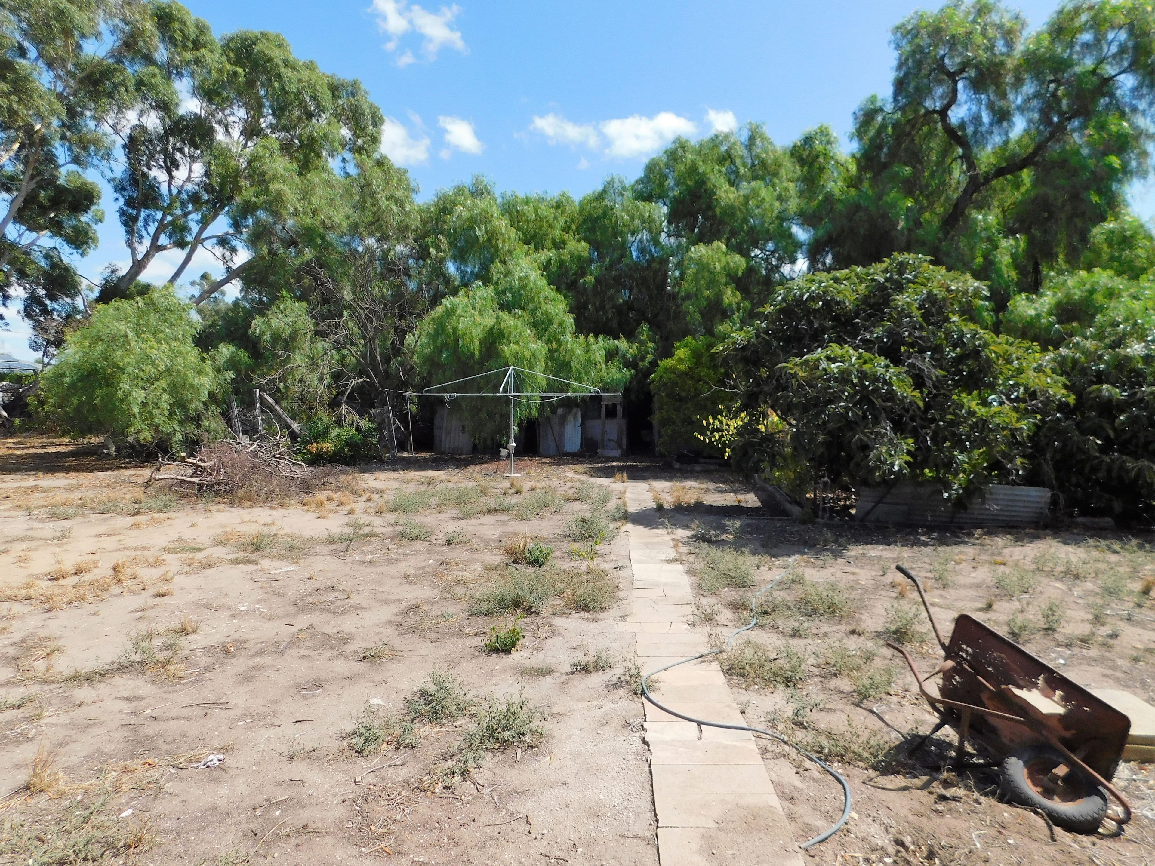 21-25 Green Street, Bordertown SA 5268, Bordertown - Thumbnail 3