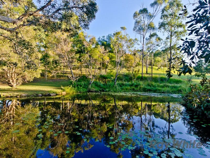 17 Highcrest Street, Ocean View QLD 4521, Ocean View - Thumbnail 3
