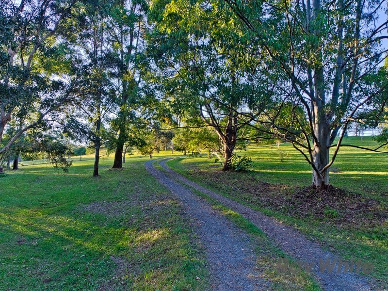 17 Highcrest Street, Ocean View QLD 4521, Ocean View - Thumbnail 5