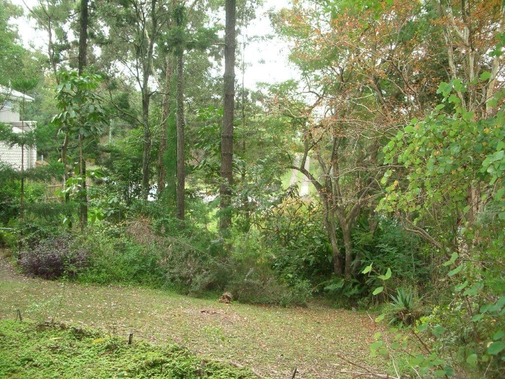 19 Kate Street, INDOOROOPILLY QLD 4068, Indooroopilly - Thumbnail 2