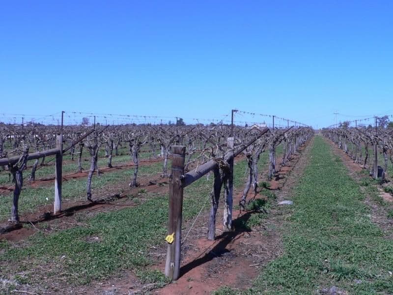 Blk 366 Coorong Avenue, MILDURA VIC 3500, Mildura - Thumbnail 2