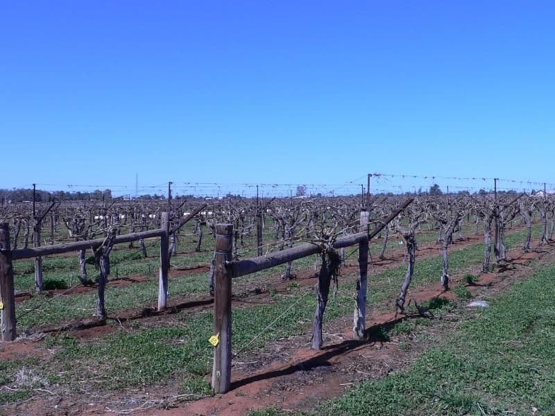 Blk 366 Coorong Avenue, MILDURA VIC 3500, Mildura - Thumbnail 4