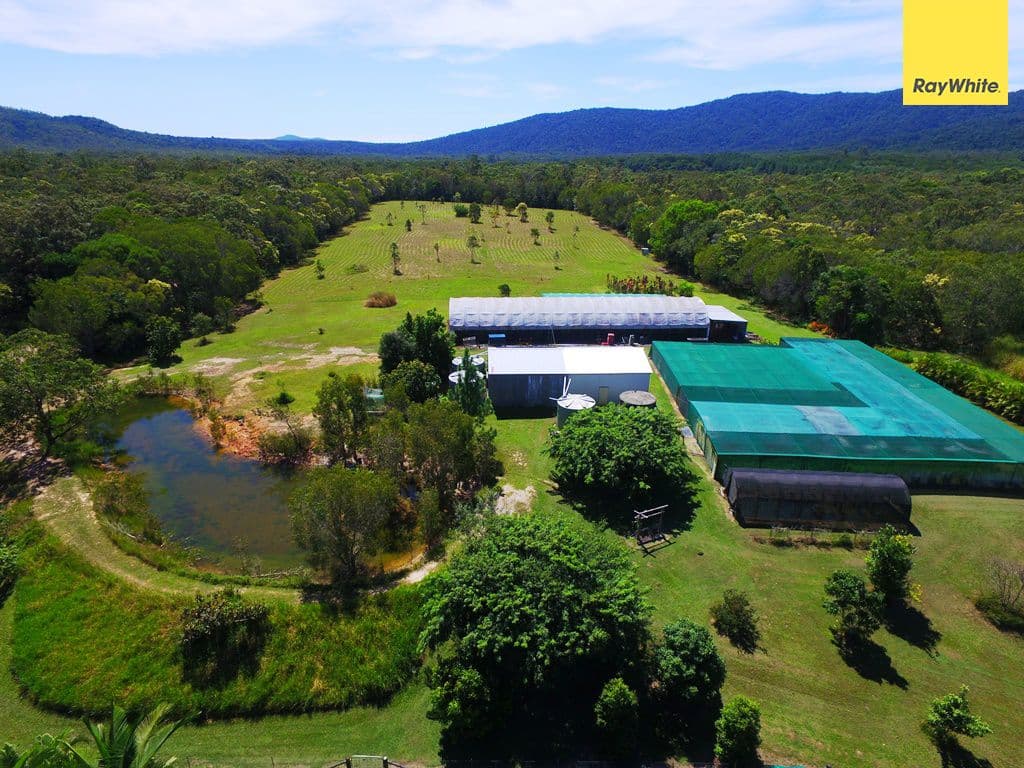752 Oak Forest Road, Kuranda QLD 4881, Kuranda - Image 1