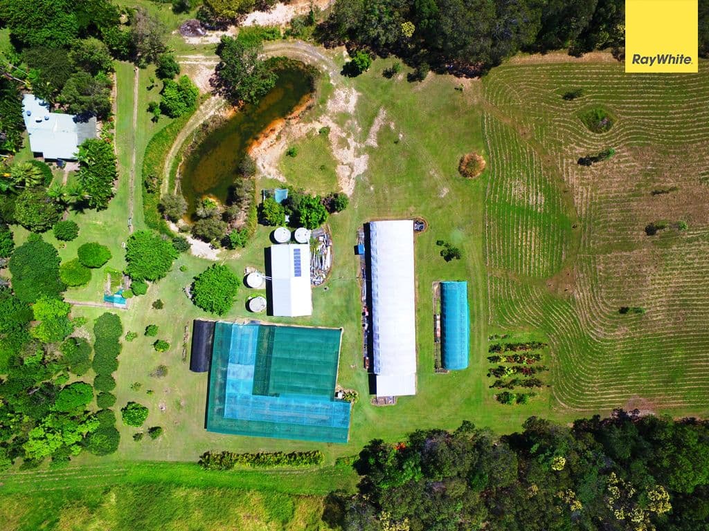 752 Oak Forest Road, Kuranda QLD 4881, Kuranda - Thumbnail 5