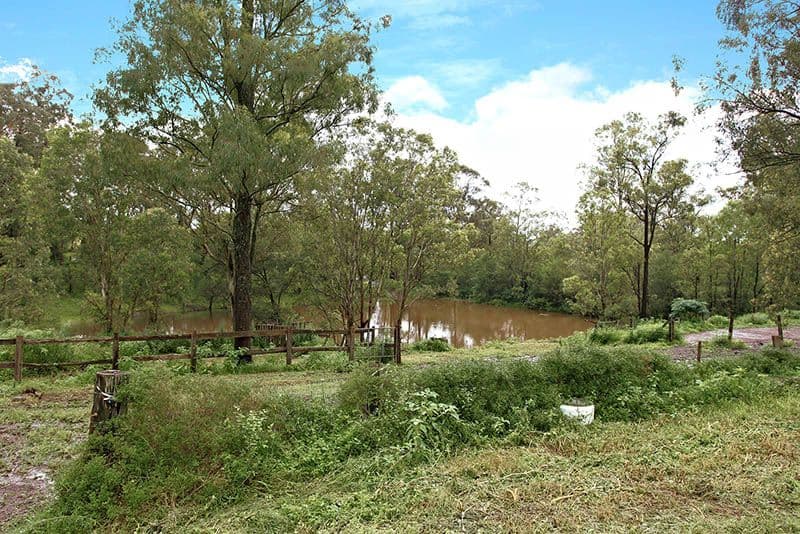54 Avoca Road, GROSE WOLD NSW 2753, Grose Wold - Thumbnail 6