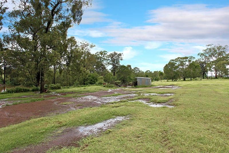 54 Avoca Road, GROSE WOLD NSW 2753, Grose Wold - Thumbnail 7