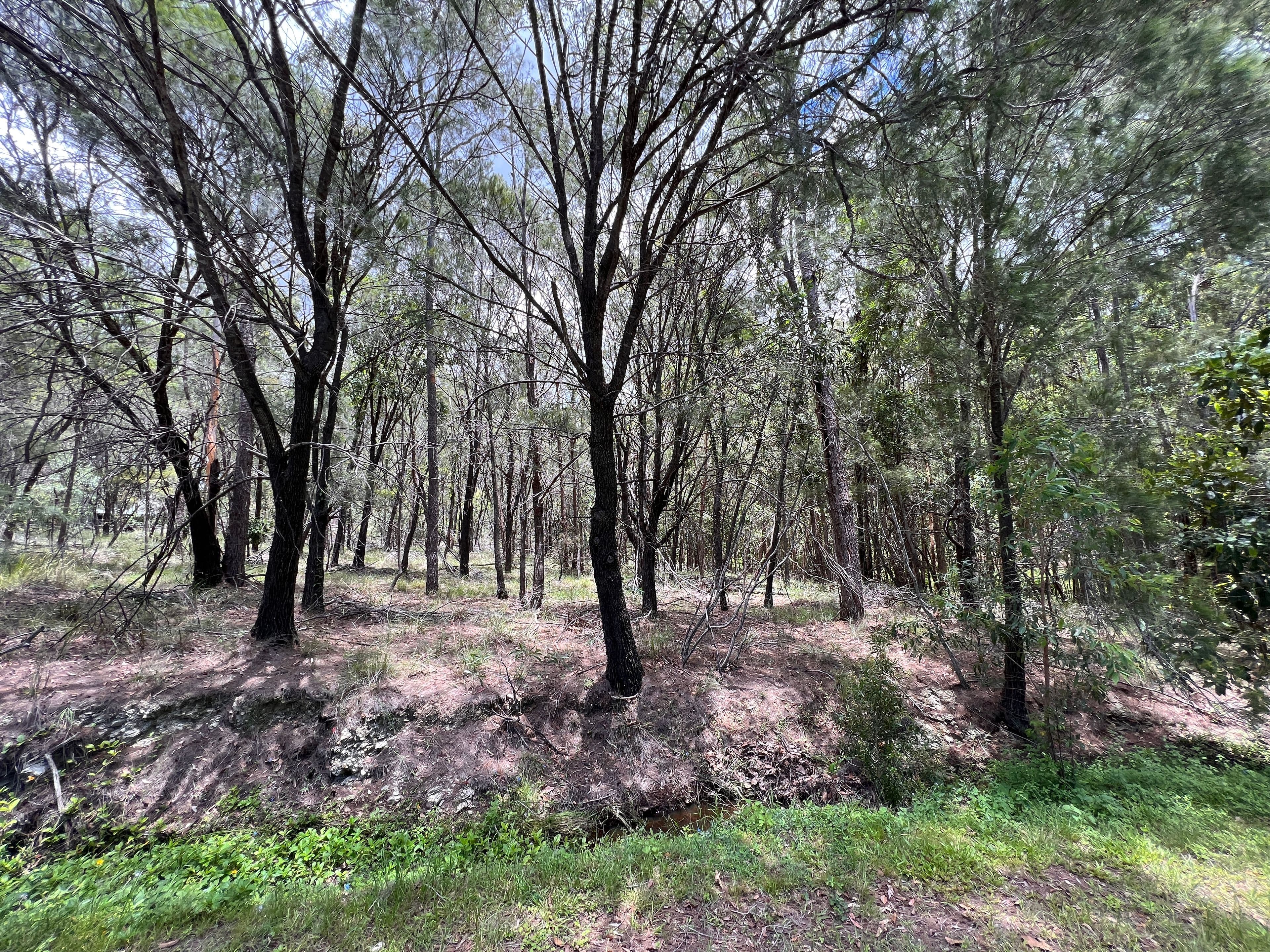 79-83 Winston Road, Sheldon QLD 4157, Sheldon - Thumbnail 3