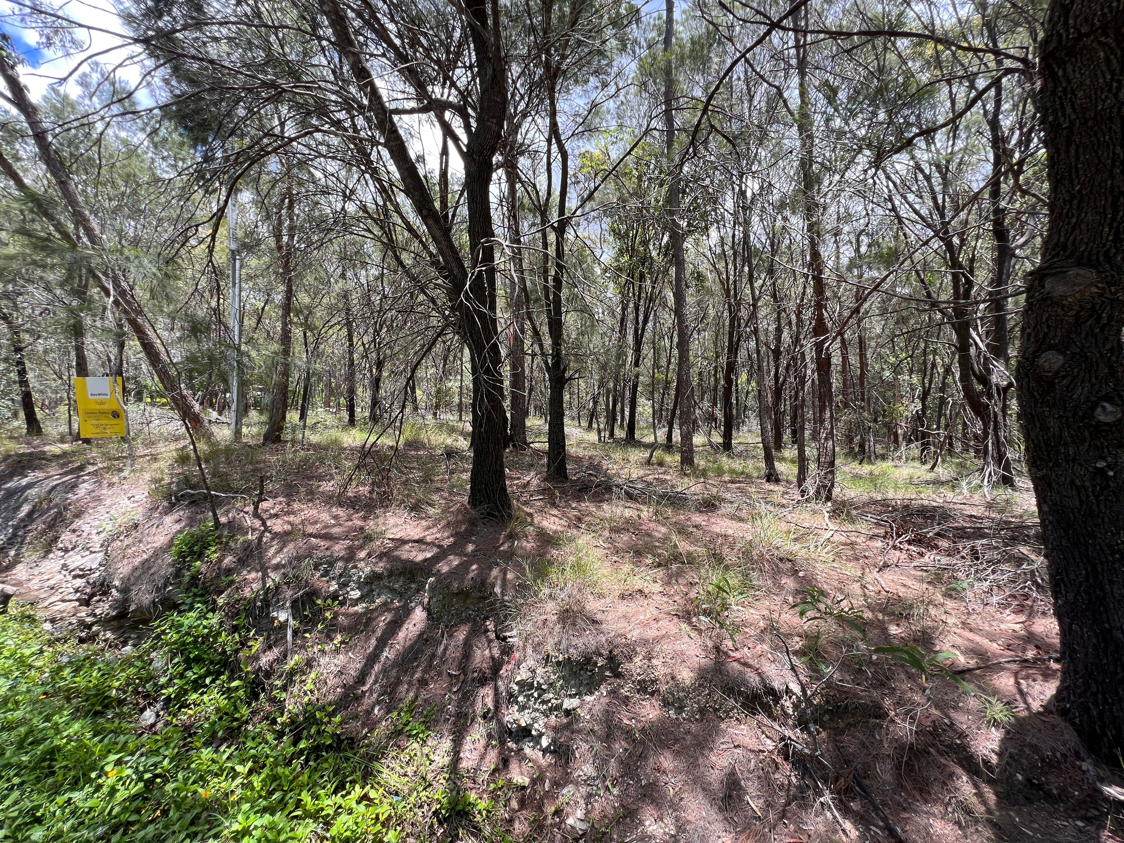 79-83 Winston Road, Sheldon QLD 4157, Sheldon - Thumbnail 5