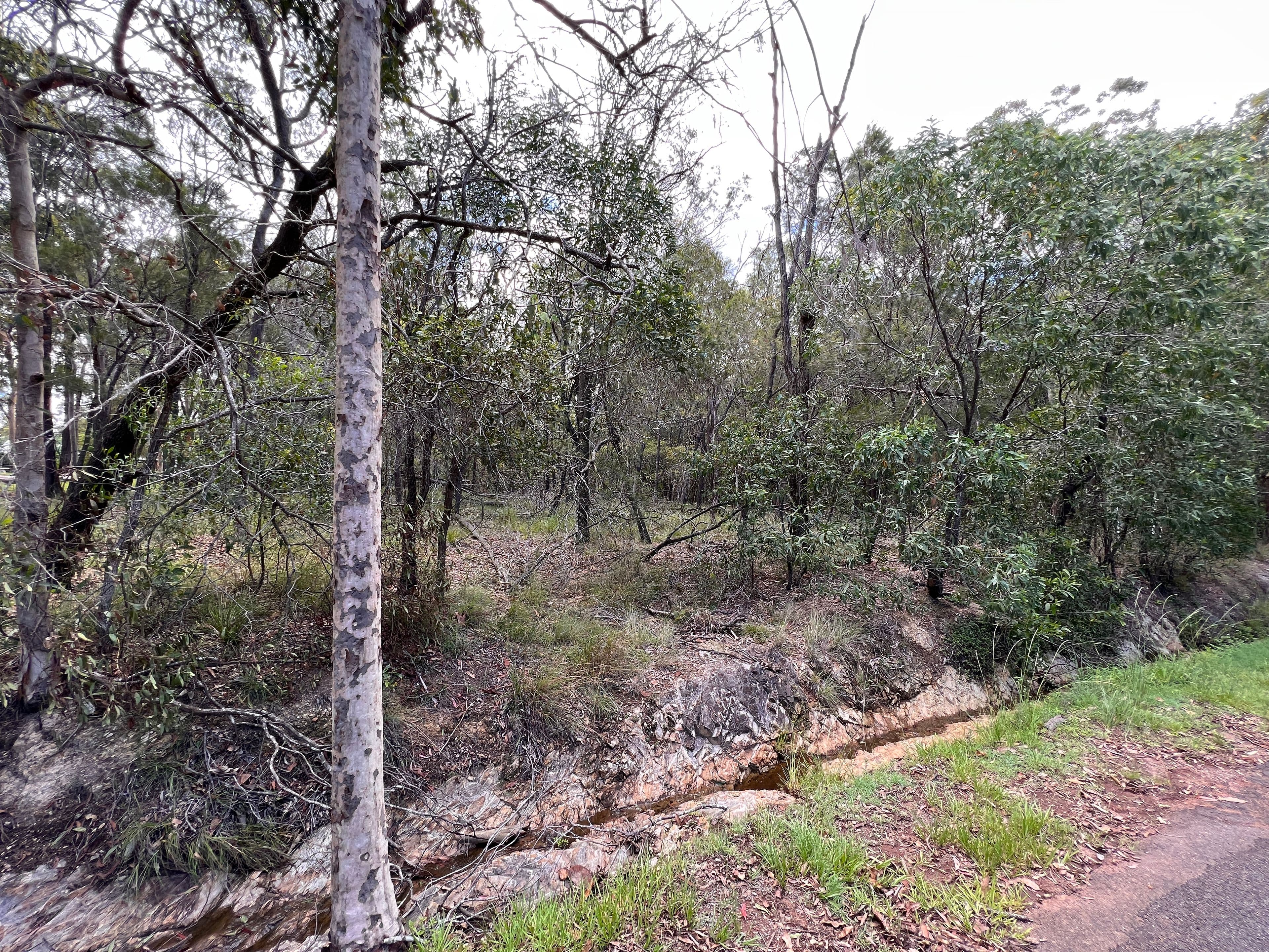 79-83 Winston Road, Sheldon QLD 4157, Sheldon - Thumbnail 6