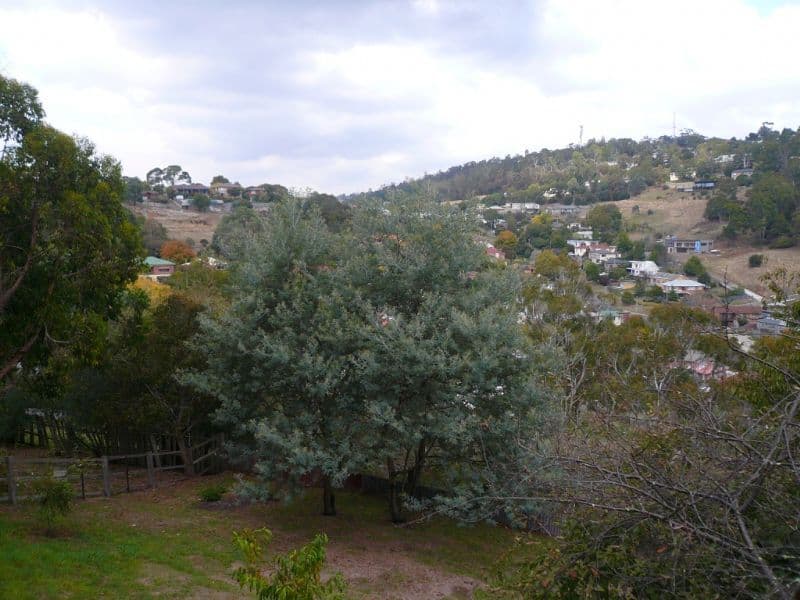 17 Quarry Road, WEST LAUNCESTON TAS 7250, West Launceston - Thumbnail 6