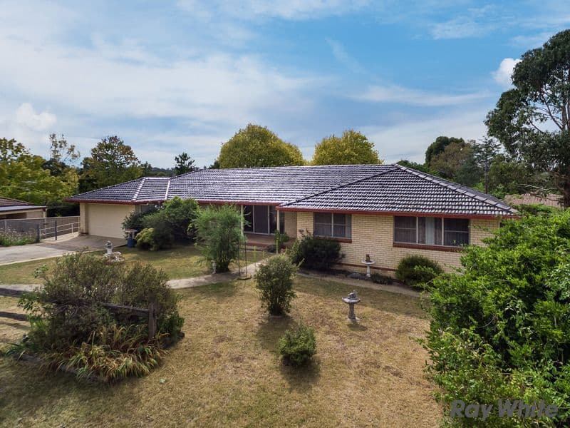 11 Chestnut Avenue, Armidale - Image 1