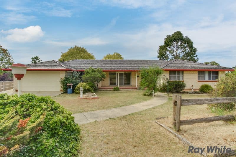 11 Chestnut Avenue, Armidale - Thumbnail 6