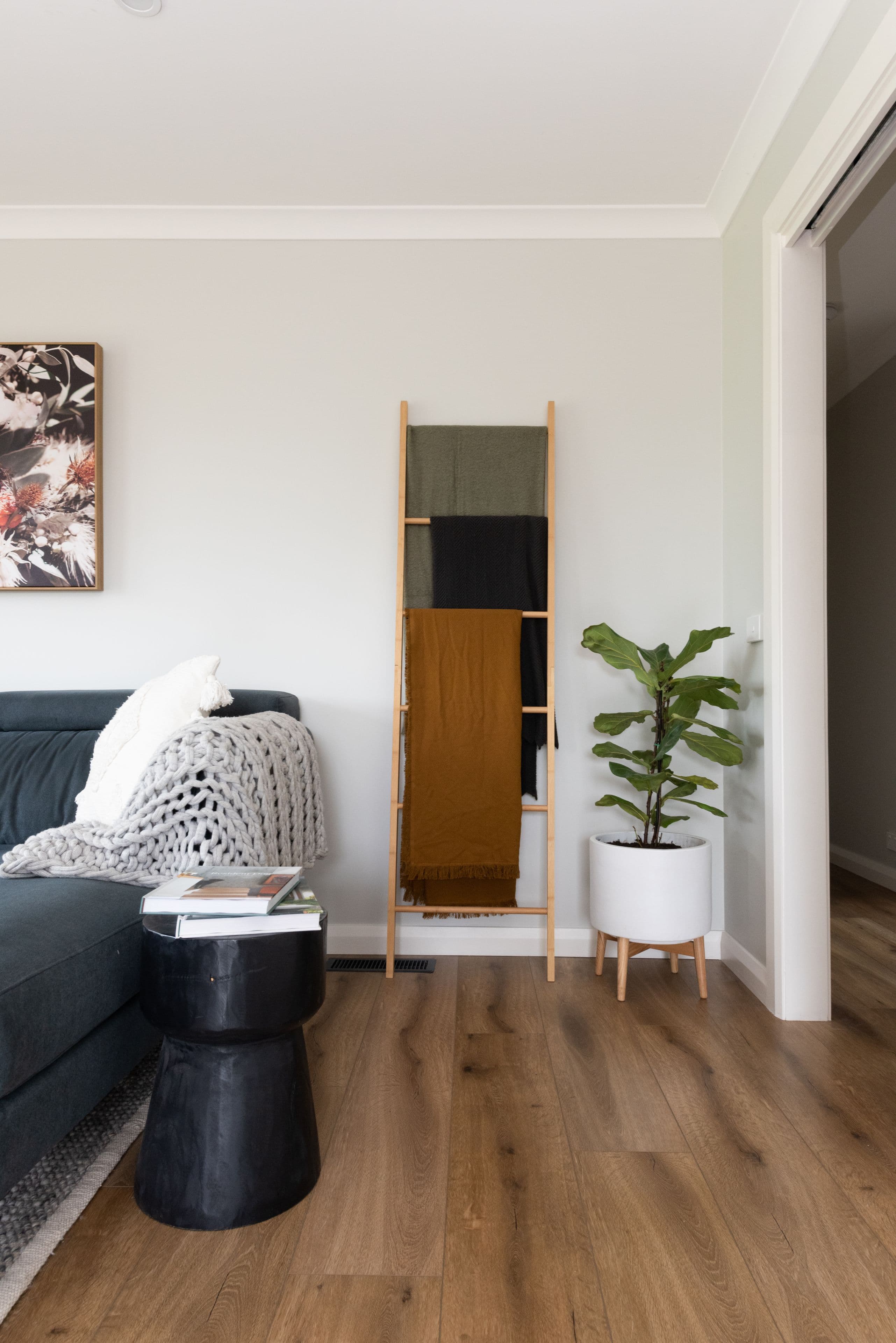 41 Nicholas Street, Higgins ACT 2615, Higgins - Thumbnail 8