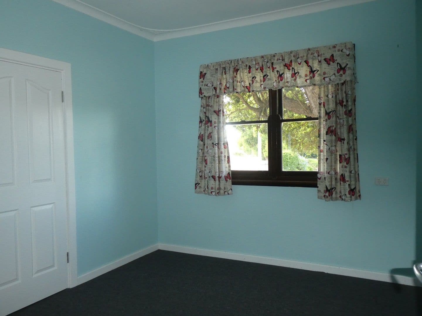 11 Menston Street, Mount Barker WA 6324, Mount Barker - Thumbnail 5