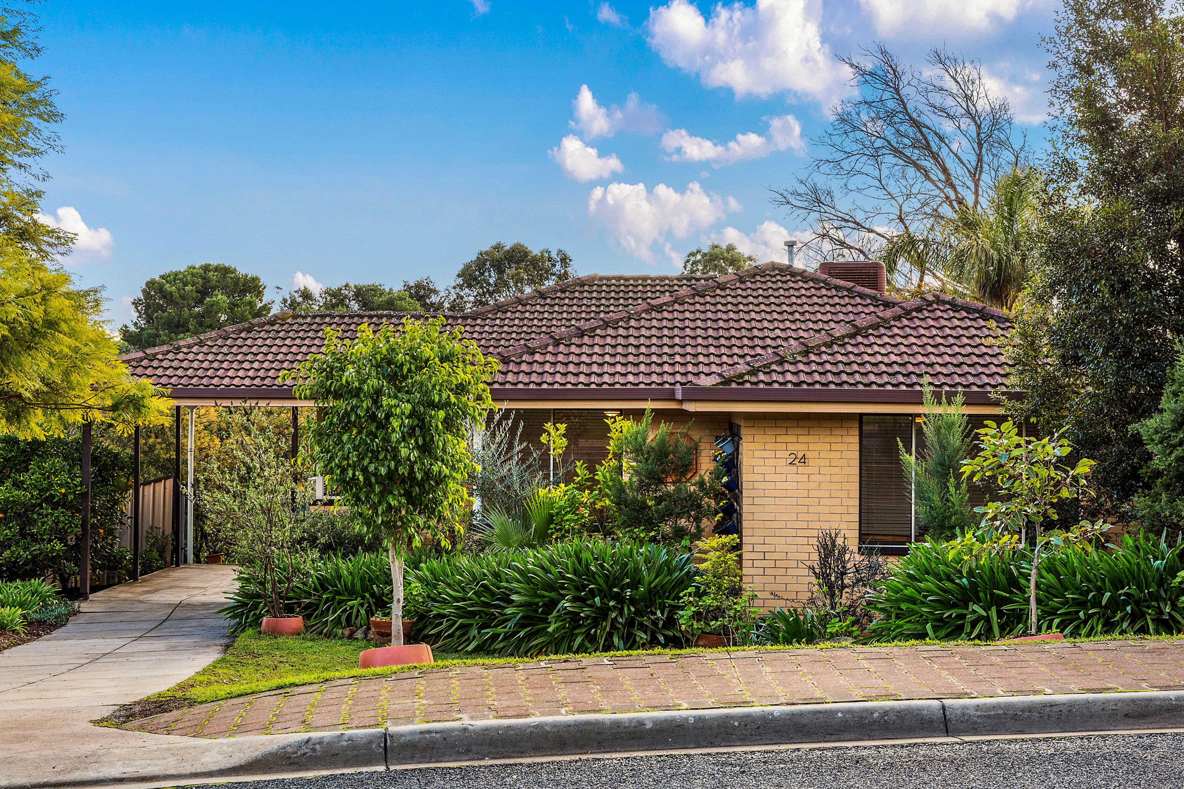 24 Park Valley Drive, Highbury SA 5089, Highbury - Image 1