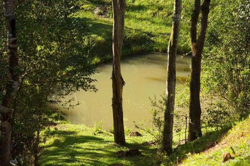 409 Maleny-Stanley River Road, MALENY QLD 4552, Maleny - Thumbnail 7